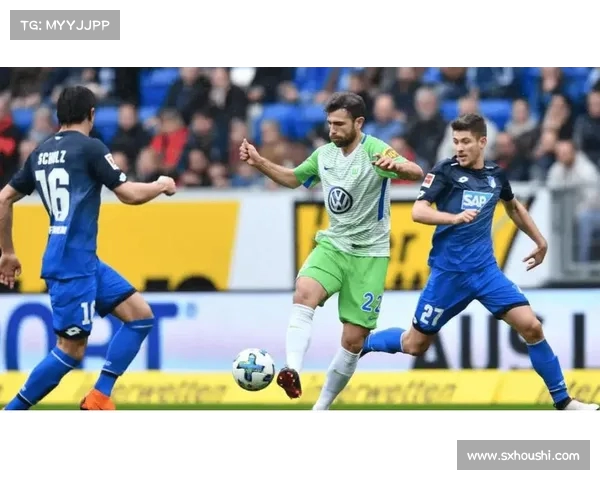 霍芬海姆崛起记:德甲黑马如何突破瓶颈成就辉煌 霍芬海姆崛起记:德甲黑马如何突破瓶颈成就辉煌