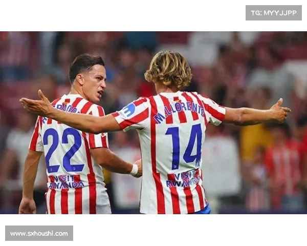 马竞今夏引援花费1.75亿欧超越皇马 成为西甲转会市场最高 spender 马竞今夏引援花费1.75亿欧超越皇马 成为西甲转会市场最高 spender