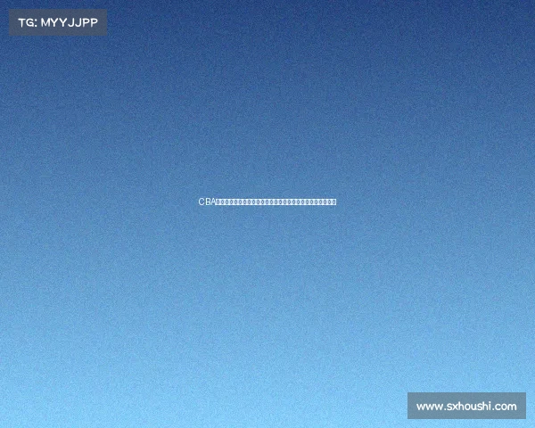 CBA社交媒体影响力提升，如何助力篮球文化发展与粉丝互动加强